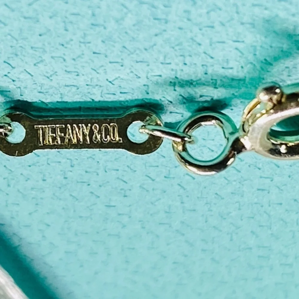 FINAL PRICE! Auth Tiffany & Co. Elsa Peretti Eternal Circle Pendant Necklace - Picture 2 of 12